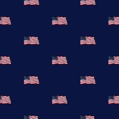 Patriotic Flags woven shirt navy patriotic flag graphic detail close up