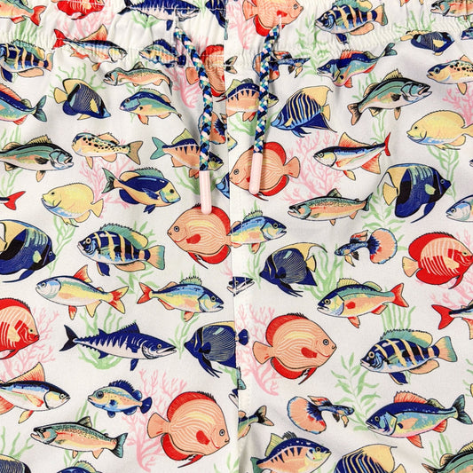 Colorful fish pattern on a white background