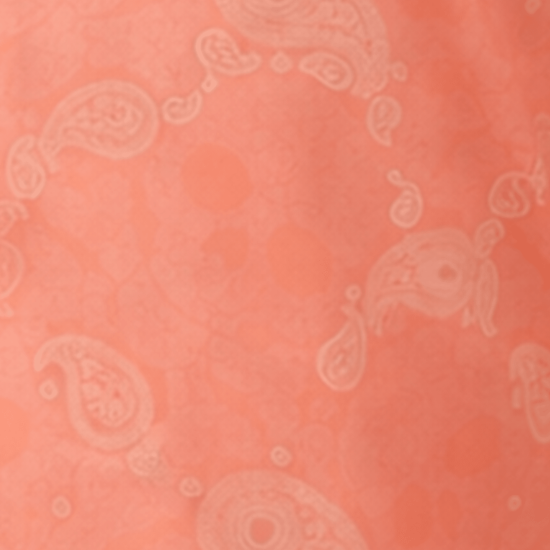 Paisley Skull woven shirt coral paisley skull pattern detail close up